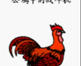 鸡的娱乐,揭秘鸡的娱乐生活