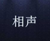 单口相声剧本,单口相声剧本中的幽默智慧