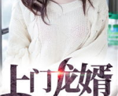 上门龙婿叶辰萧初然全免全集完结版,巅峰逆袭，荣耀归来