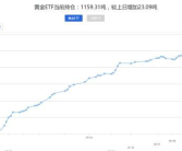黄金持仓,市场情绪与投资策略洞察