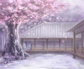 深夜的乳液频道樱花动漫,深夜乳液频道带你进入动漫世界